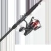 PENN Fierce® III Live Liner Combo