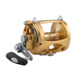 PENN 80 VISW INT80VISW 2-Speed Conventional Reel - Gold