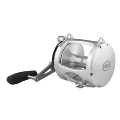 PENN International 80 VISWS INT80VISWS 2-Speed Conventional Reel - Silver -Penn CW94671 1 10409.1672152672